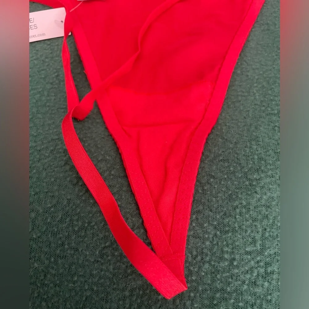 Victoria's Secret Floral Embroidery Sheer Mesh Slip - Picture 13 of 16